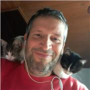 Ingegnere con esperienza a Mercato Saraceno